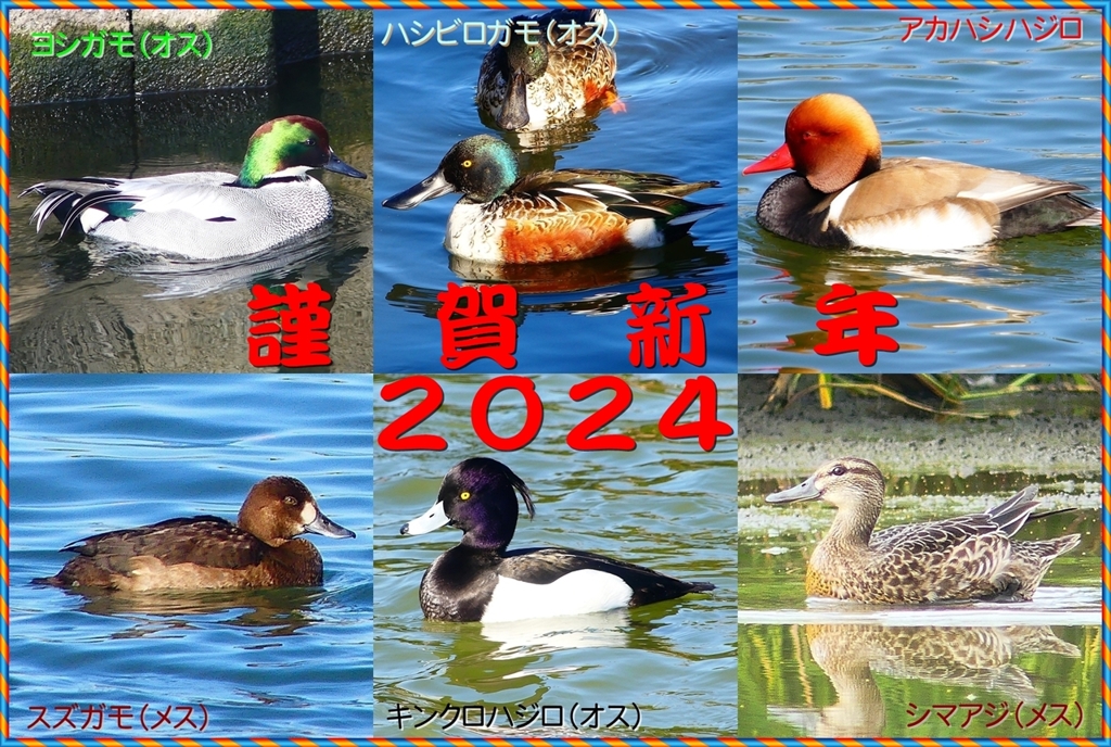 年賀状2024②06_R