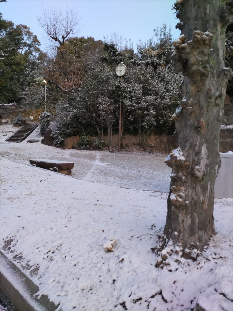 公園の雪：DSC_0174