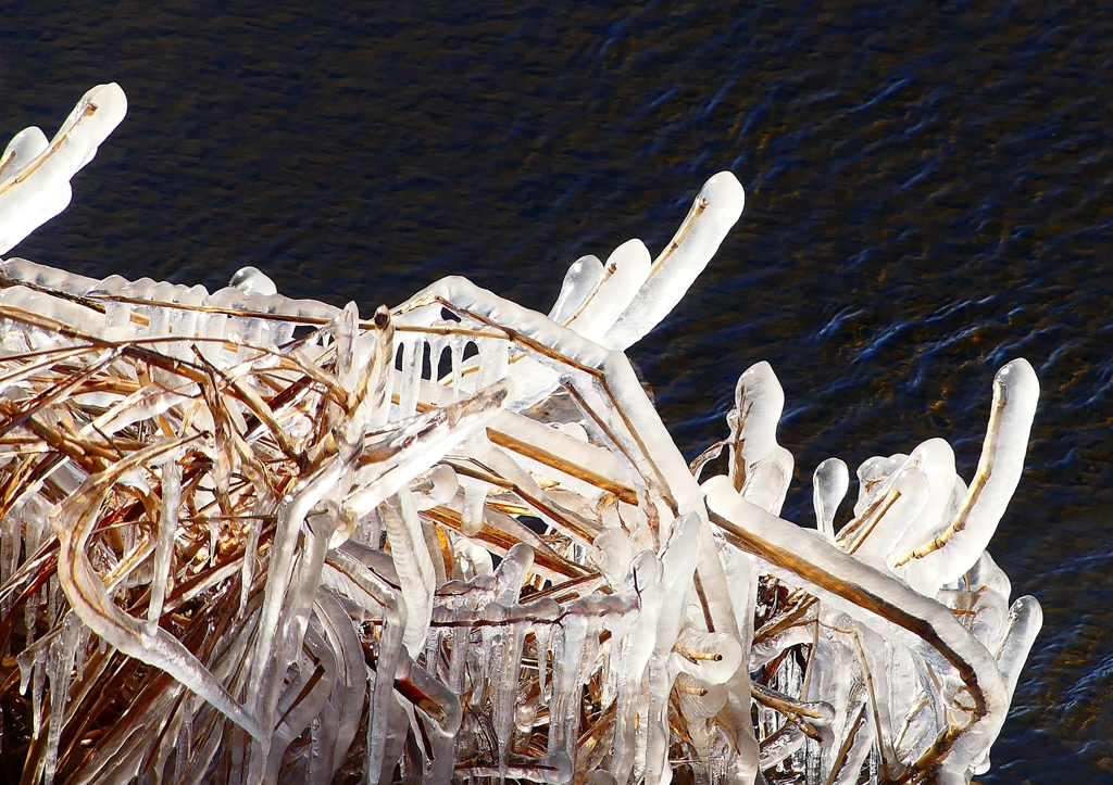 P1710660：凍てつく川_R