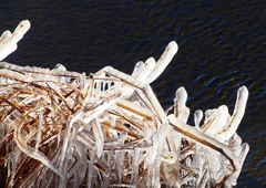 P1710660：凍てつく川_R