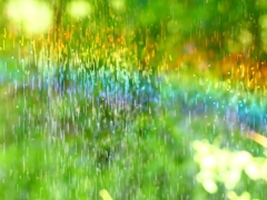 P4270079：散水の虹_R