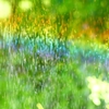 P4270079：散水の虹_R