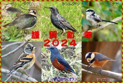 年賀状2024②07_R