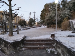公園の雪：DSC_0171