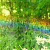 P4270089：散水の虹_R