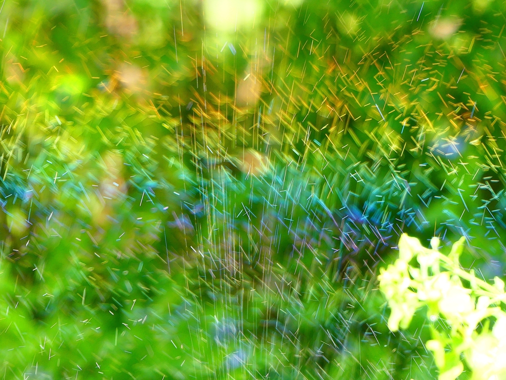 P4270112：散水の虹_R