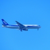 P1320934：ＡＮＡ機_R