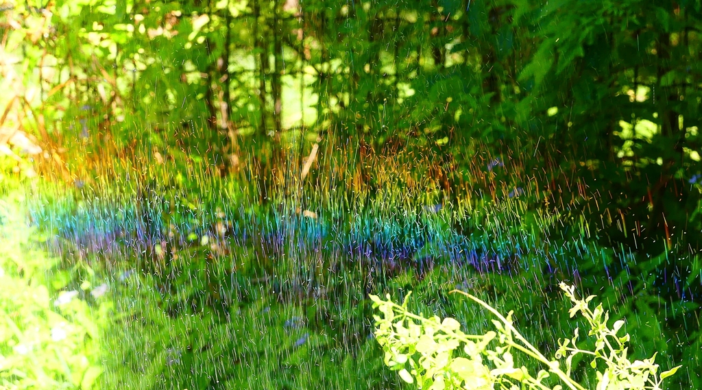 P4270106：散水の虹_R