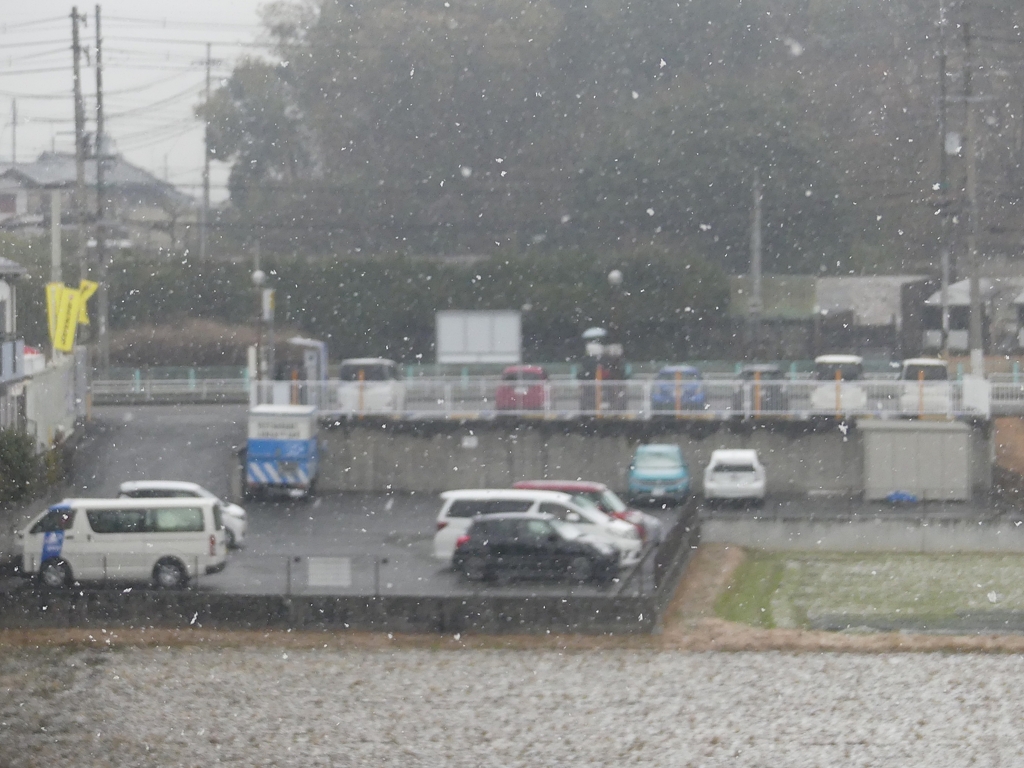 P3760314：降りしきる雪_R