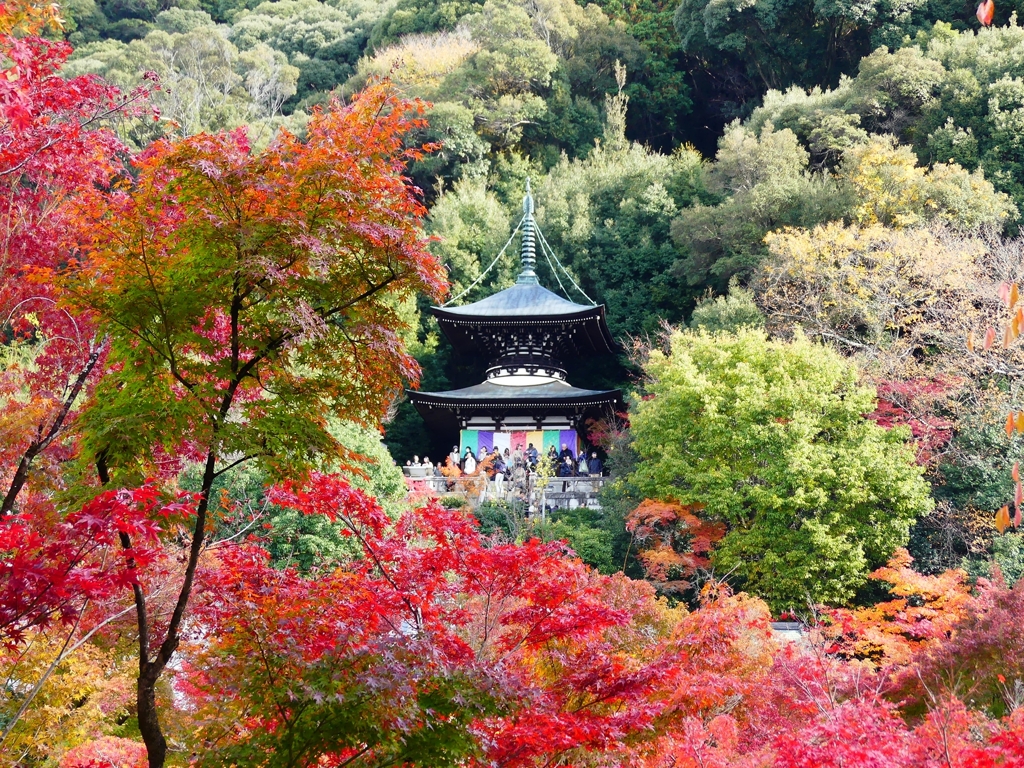 P1030562：永観堂＜京都の紅葉＞_R