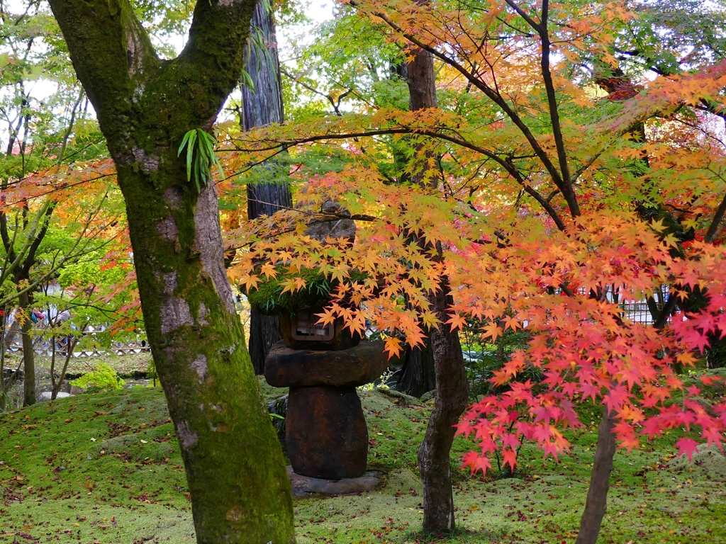 P1030572：永観堂＜京都の紅葉＞_R