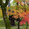 P1030572：永観堂＜京都の紅葉＞_R