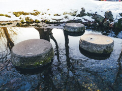 寒さが骨に