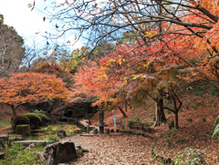 近場の紅葉