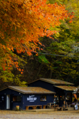 湖畔を彩る紅葉（四尾連湖）