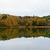 2025-11-14紅葉・四尾連湖・クラフトパーク1-16