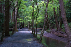 小國神社川沿いの雰囲気