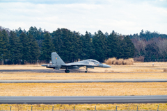 ヴィーア・ガーディアン23　Su-30