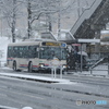 雪降るバス停
