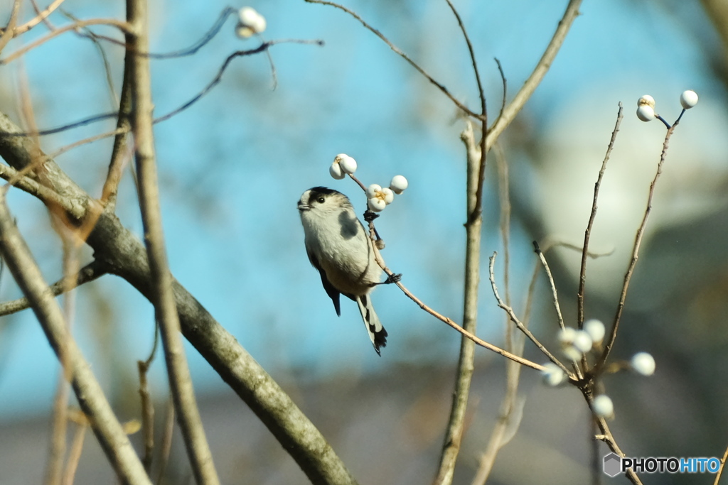 ちょっと警戒されたかな？