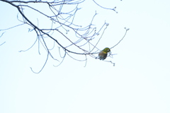 がっちり銜えましたね