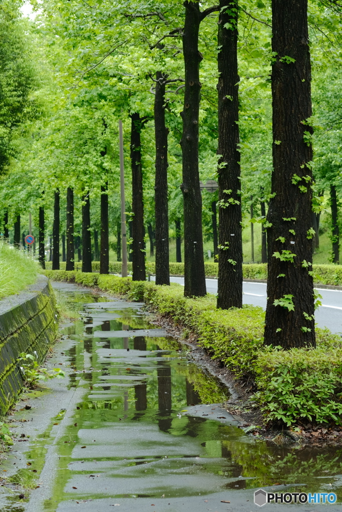 雨の日に