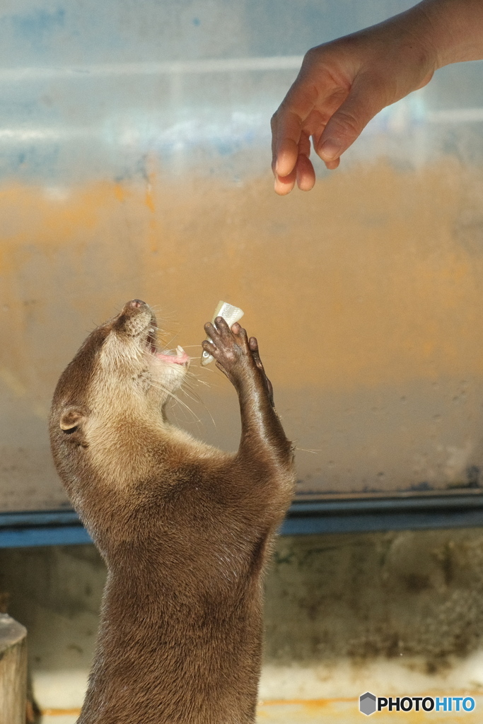 いただきま～す♪