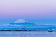 富士と鳥居