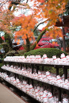 豪徳寺-5