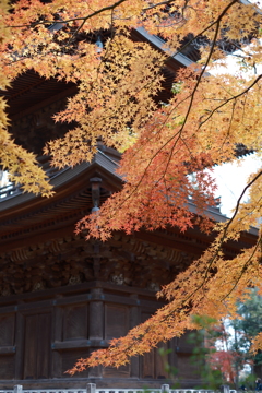 豪徳寺-2