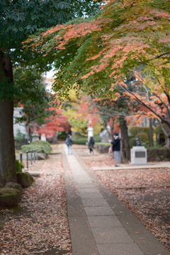 豪徳寺-8