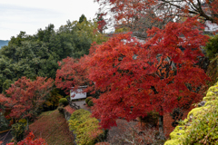 郡上八幡　紅葉