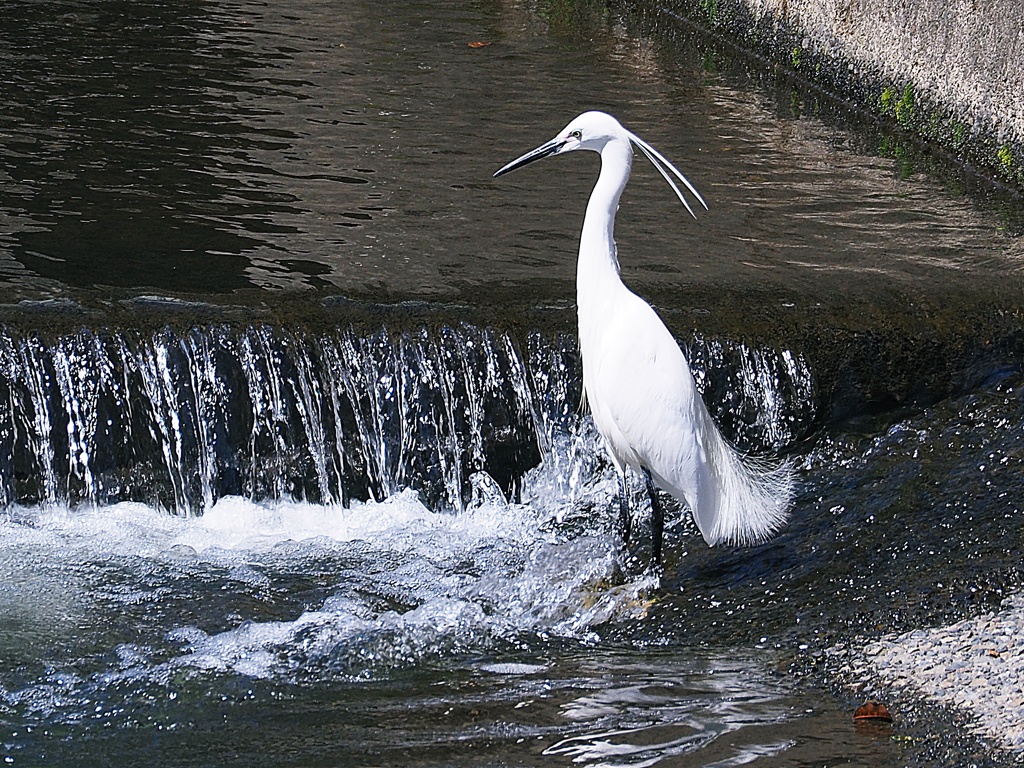 水ぬるむ