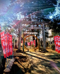 静かなお正月でした