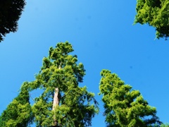 青空+梅雨一休