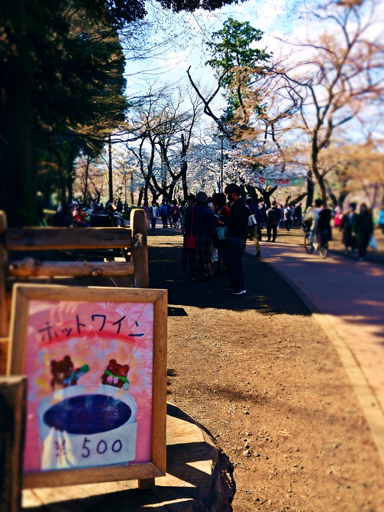 お花見ワイン