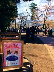 お花見ワイン