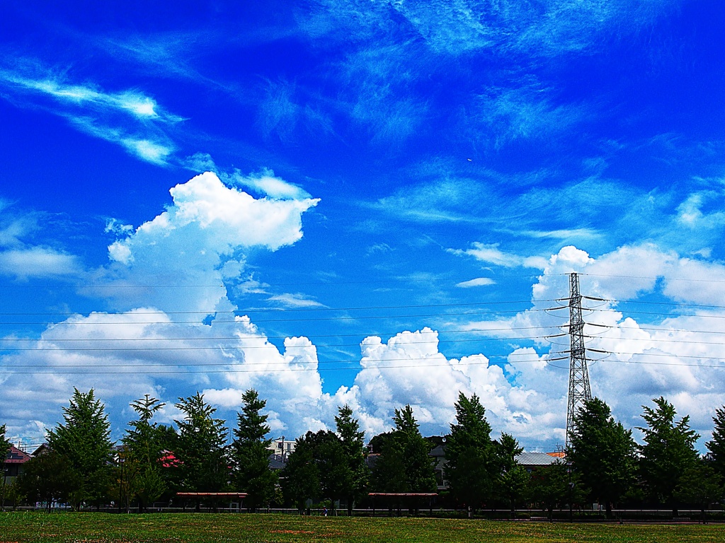 真夏の青空