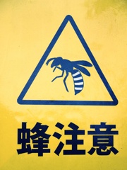蜂の季節