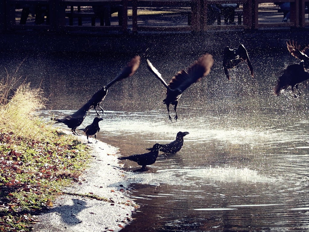 水遊び2