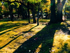秋の長い影