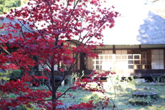 北鎌倉　浄智寺の庭