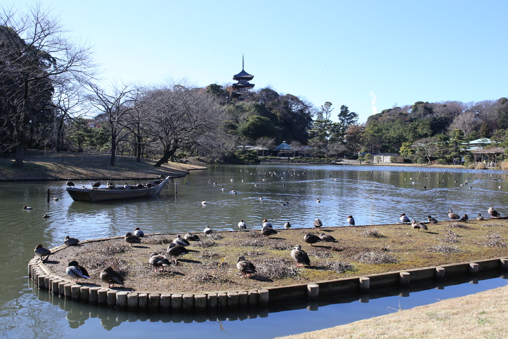三溪園１