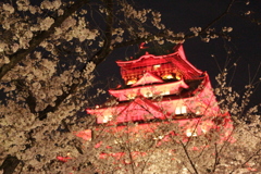 桜ライトアップin大阪城西の丸5-3