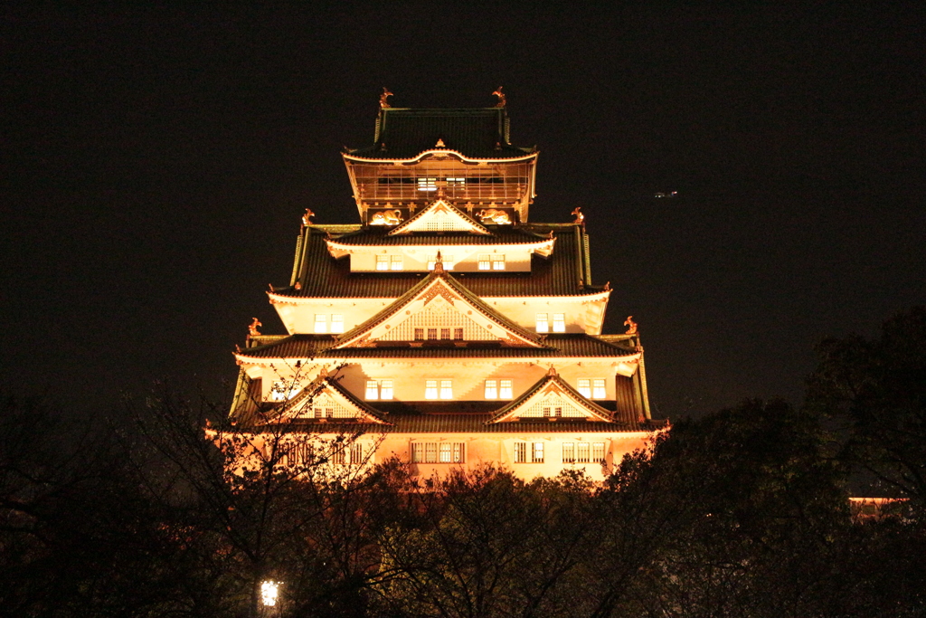 桜ライトアップin大阪城西の丸5-5