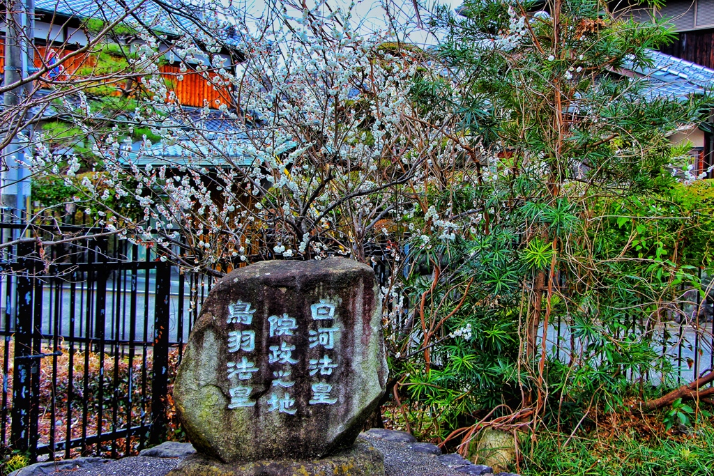 #京都城南宮5-4