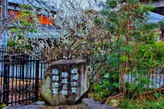 #京都城南宮5-4