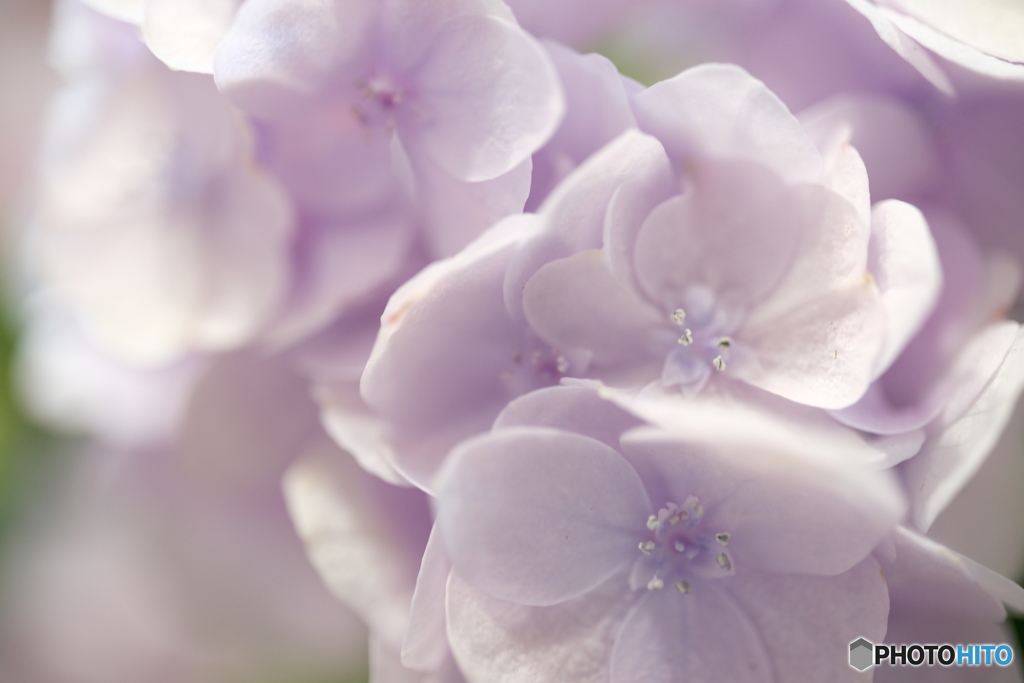 B07DCBF0-1484-4D5B-B572-420BDA2769B3