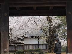 東内門