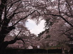 ♡の空